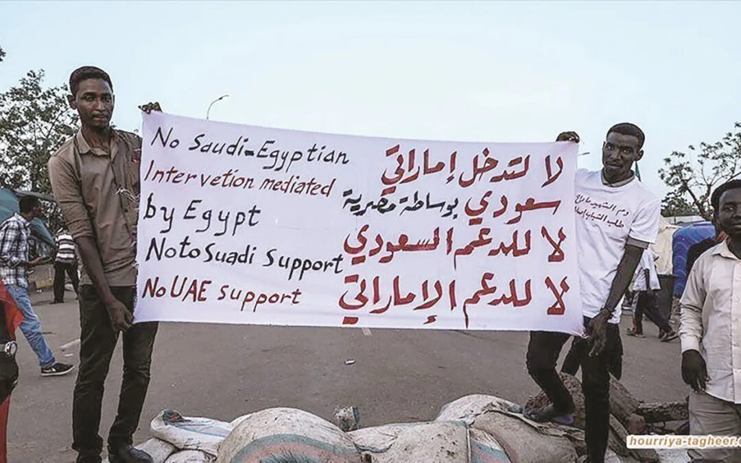 الامارات مأساة الكلب التشيواوا