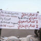 الامارات مأساة الكلب التشيواوا